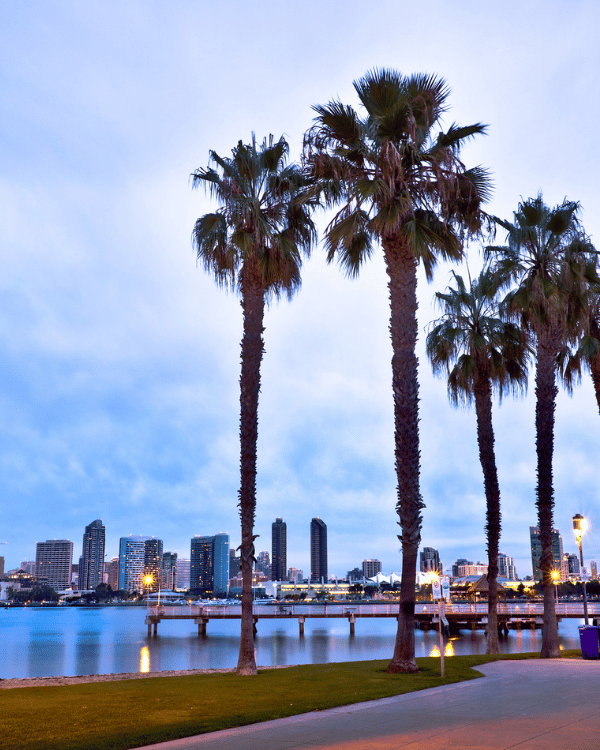 san-diego-skyline-palm-trees-waterfront.jpg