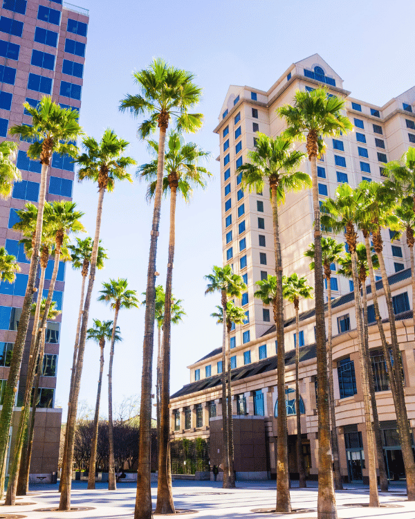 san-jose-downtown-buildings-palm-trees.jpg