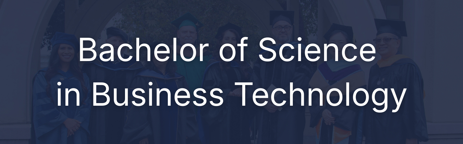 Bachelor of Science in Business Technology
