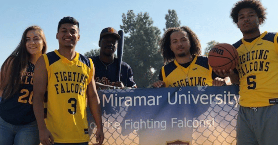 Program Mini Banners for LPs (3)