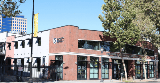 Program Mini Banners for LPs (4)