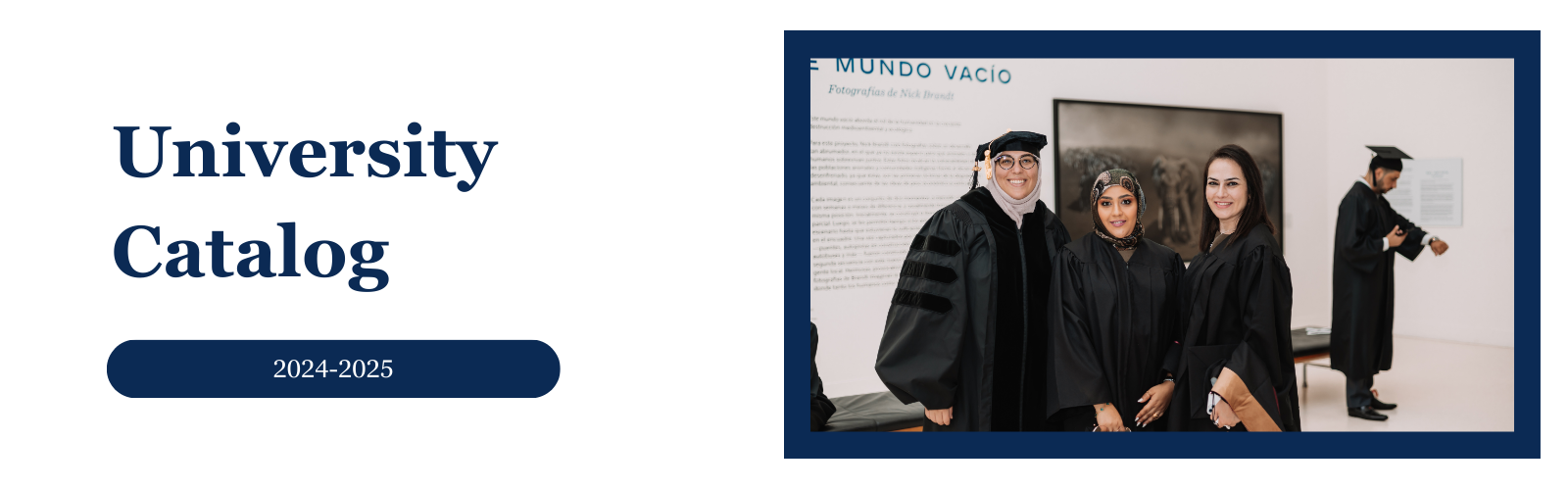 University Catalog