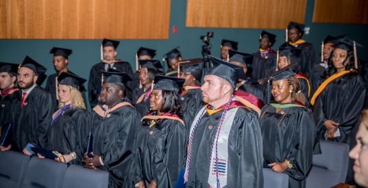 Bachelor of Science in Business Administration - Artificial Intelligence