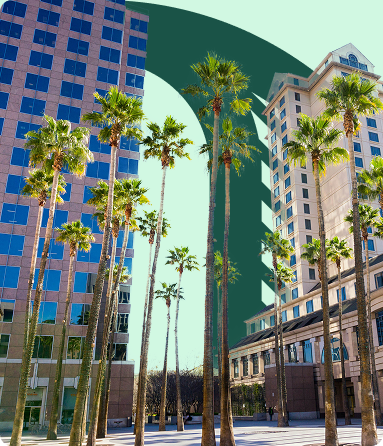 California Miramar University San Jose